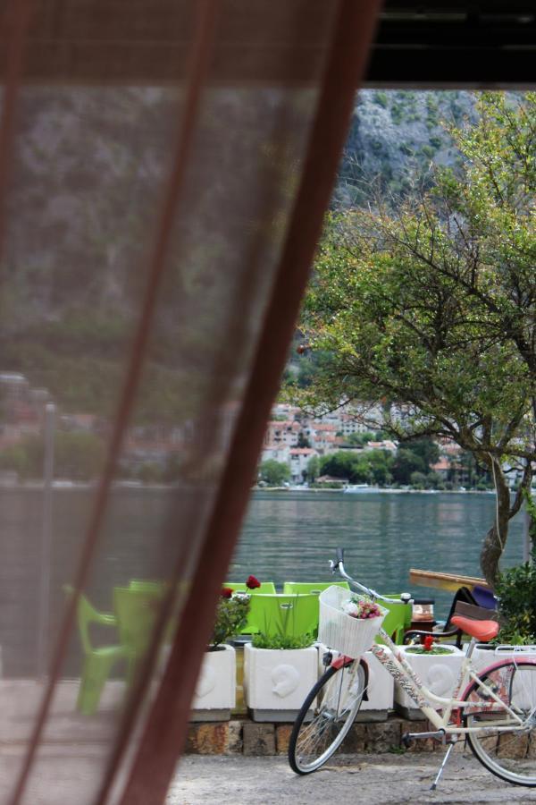 Mare E Montagna Daire Kotor Dış mekan fotoğraf